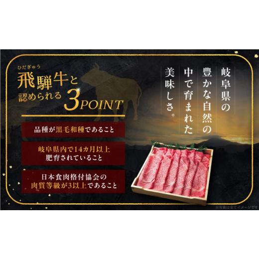 ふるさと納税 牛肉 サーロイン 岐阜県 恵那市  12回定期便 牛肉 飛騨牛 サーロインステーキ (A5ランク) 1パック (250g×2枚) ／ 飛騨牛 サーロインステーキ サ…_6