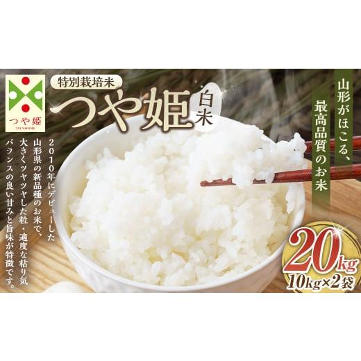 ふるさと納税 米 つや姫 山形県 白鷹町 令和7年産新米 [白米] つや姫 計20kg 10kg×2袋 1回のお届け (特別栽培米) お米 米 コメ こめ 白米 ごはん ご飯 …