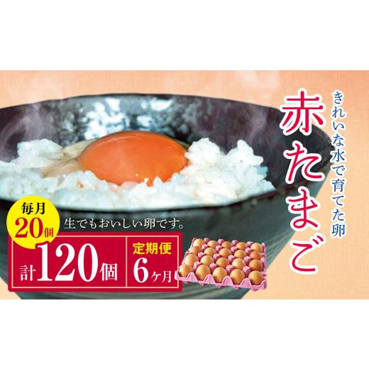 ふるさと納税 卵（鶏、烏骨鶏等） 千葉県 君津市 定期便6回 きれいな水で育てた卵 赤たまご 20個 | 保坂農場 赤卵 赤玉 赤い卵 銘水 卵 たまご 定期便 6回 君…_1