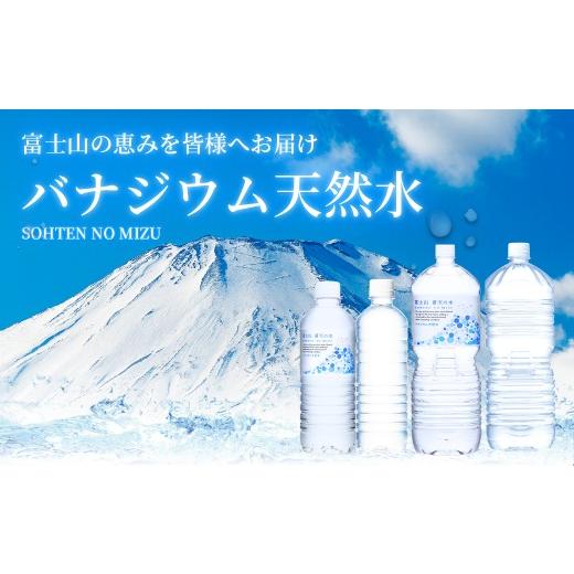ふるさと納税 水・ミネラルウォーター 500mL〜999mL 山梨県 忍野村  6ヶ月定期便 富士山蒼天の水 500ml×24本（1ケース）ラベルレス 離島不可 天然水 ミネラル…_2