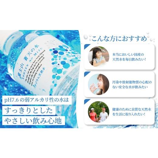 ふるさと納税 水・ミネラルウォーター 500mL〜999mL 山梨県 忍野村  6ヶ月定期便 富士山蒼天の水 500ml×24本（1ケース）ラベルレス 離島不可 天然水 ミネラル…_5