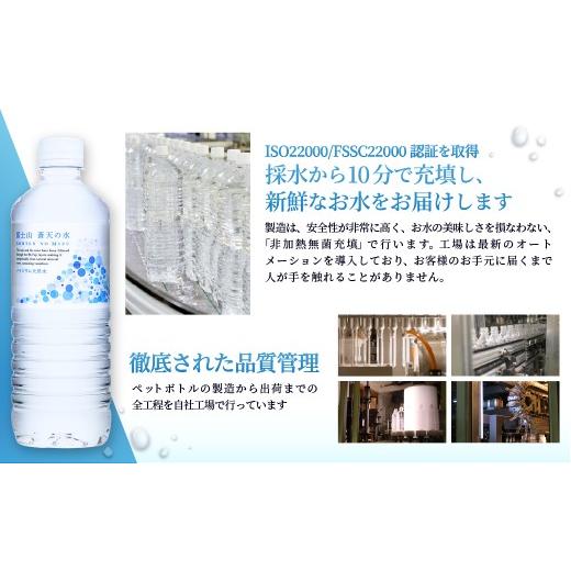 ふるさと納税 水・ミネラルウォーター 500mL〜999mL 山梨県 忍野村  6ヶ月定期便 富士山蒼天の水 500ml×24本（1ケース）ラベルレス 離島不可 天然水 ミネラル…_6