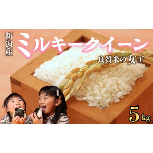 ふるさと納税 米 ミルキークイーン 新潟県 新発田市 新米 令和7年産 ミルキークイーン 5kg ご飯 備蓄 コシヒカリ こしひかり 突然変異種 コメ お米 米 こめ …