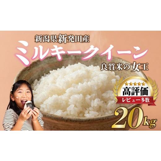 ふるさと納税 米 ミルキークイーン 新潟県 新発田市  最短7日発送 令和7年産 ミルキークイーン 20kg ご飯 備蓄 コシヒカリ こしひかり 突然変異種 コメ お米 …の画像