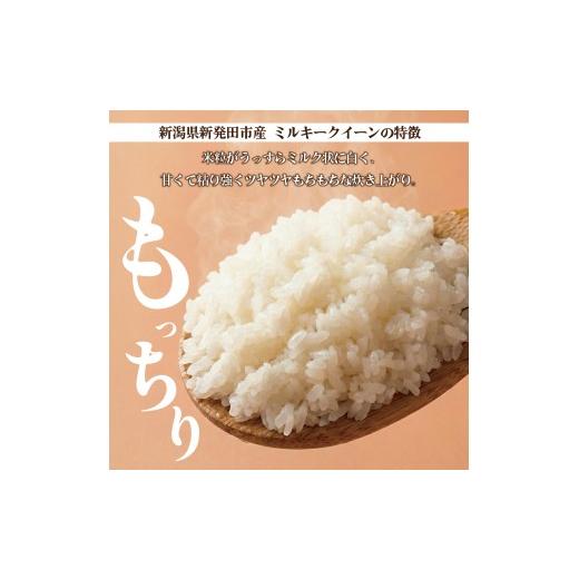 ふるさと納税 米 ミルキークイーン 新潟県 新発田市  最短7日発送 令和7年産 ミルキークイーン 20kg ご飯 備蓄 コシヒカリ こしひかり 突然変異種 コメ お米 …の画像