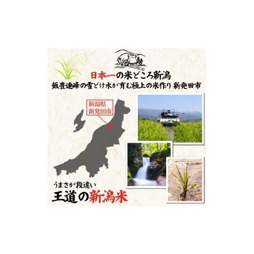 ふるさと納税 米 ミルキークイーン 新潟県 新発田市  最短7日発送 令和7年産 ミルキークイーン 20kg ご飯 備蓄 コシヒカリ こしひかり 突然変異種 コメ お米 …の画像