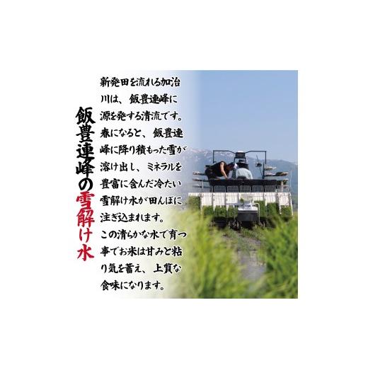 ふるさと納税 米 ミルキークイーン 新潟県 新発田市  最短7日発送 令和7年産 ミルキークイーン 20kg ご飯 備蓄 コシヒカリ こしひかり 突然変異種 コメ お米 …の画像