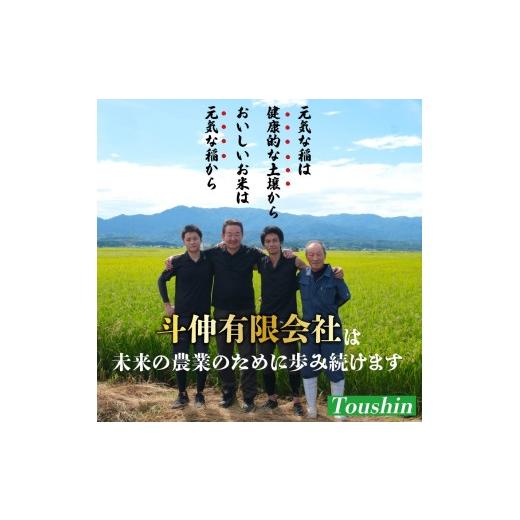ふるさと納税 米 ミルキークイーン 新潟県 新発田市  最短7日発送 令和7年産 ミルキークイーン 20kg ご飯 備蓄 コシヒカリ こしひかり 突然変異種 コメ お米 …の画像