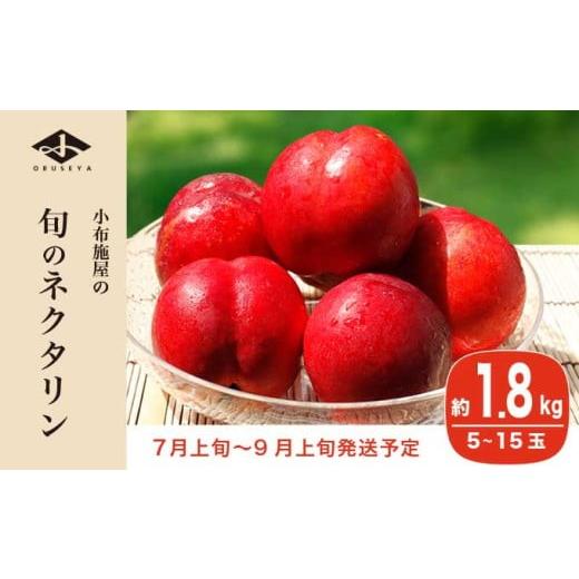 ふるさと納税 もも 長野県 小布施町 旬のネクタリン 約1.8kg 5〜15玉 ［小布施屋］ 果物 フルーツ 桃 もも 長野県産 小布施 冷蔵便 クール便 産地直送 数量限…の画像