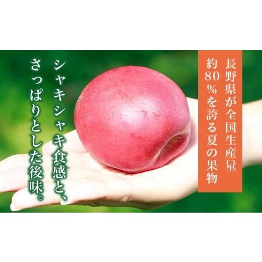ふるさと納税 もも 長野県 小布施町 旬のネクタリン 約1.8kg 5〜15玉 ［小布施屋］ 果物 フルーツ 桃 もも 長野県産 小布施 冷蔵便 クール便 産地直送 数量限…の画像