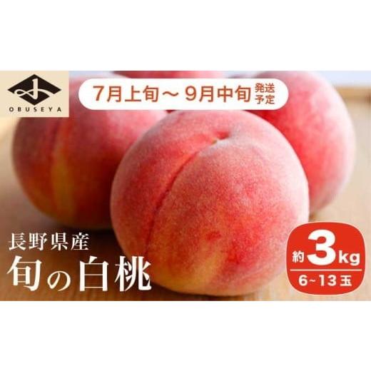 ふるさと納税 もも 長野県 小布施町 旬の白桃 約3kg 6〜13玉 [小布施屋] 白桃 桃 もも モモ フルーツ 果物 クール便 冷蔵便 長野県産 信州産 期間限定 数量…