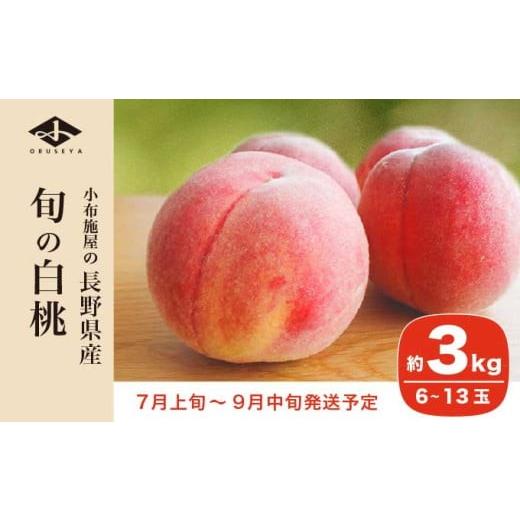 ふるさと納税 もも 長野県 小布施町 旬の白桃 約3kg 6〜13玉 ［小布施屋］ 白桃 桃 もも モモ フルーツ 果物 クール便 冷蔵便 長野県産 信州産 期間限定 数量…の画像