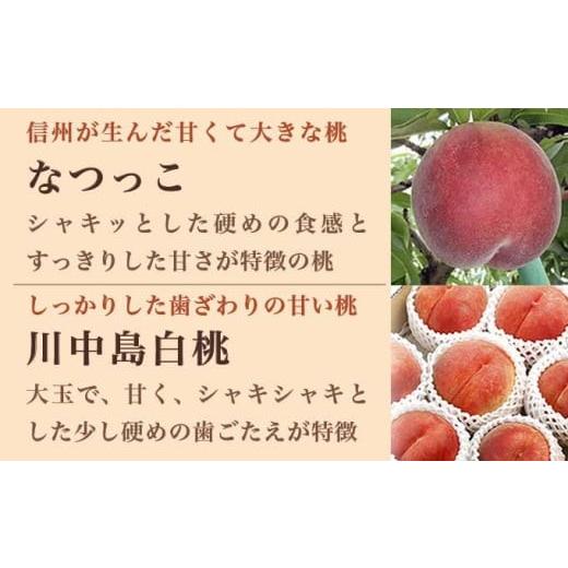 ふるさと納税 もも 長野県 小布施町 旬の白桃 約3kg 6〜13玉 ［小布施屋］ 白桃 桃 もも モモ フルーツ 果物 クール便 冷蔵便 長野県産 信州産 期間限定 数量…の画像
