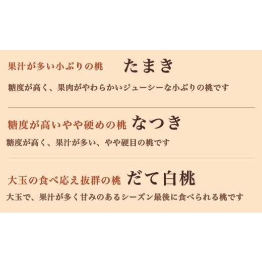 ふるさと納税 もも 長野県 小布施町 旬の白桃 約3kg 6〜13玉 ［小布施屋］ 白桃 桃 もも モモ フルーツ 果物 クール便 冷蔵便 長野県産 信州産 期間限定 数量…の画像
