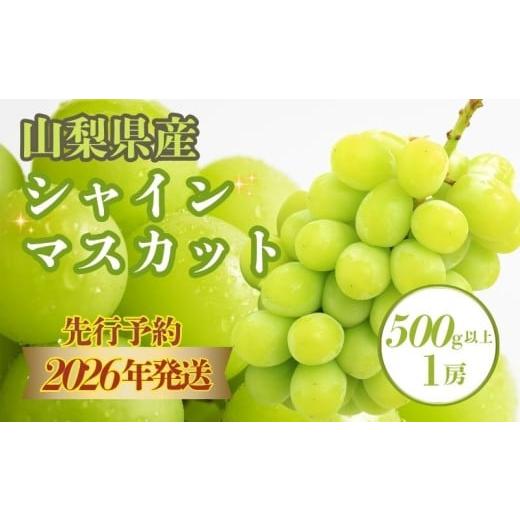 ふるさと納税 ぶどう マスカット 山梨県 都留市 2026年先行予約 シャインマスカット500g以上(1房) アズールヤード フルーツ 人気 甘い 糖度 山梨 大粒 種…