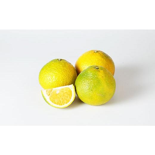 ふるさと納税 みかん・柑橘類 熊本県 水俣市 環境マイスターのスイートスプリング 良品・訳あり混合 4kg (栽培期間中は無肥料・農薬不使用) 環境マイスター …