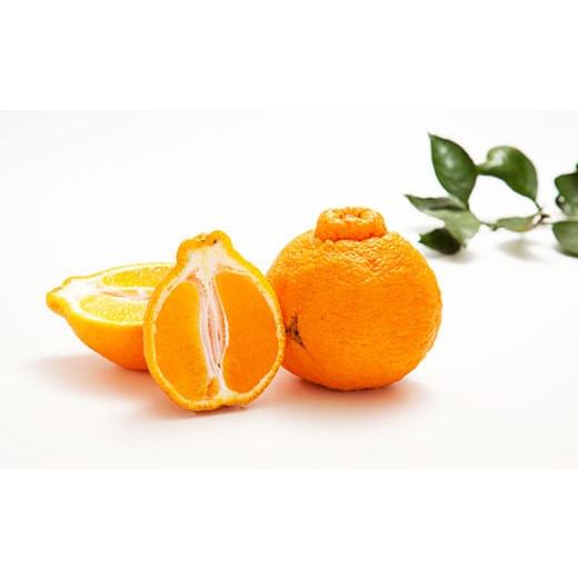 ふるさと納税 みかん・柑橘類 デコポン 熊本県 水俣市 環境マイスターの不知火 訳あり 4kg(栽培期間中は無肥料・低農薬) くだもの 果物 フルーツ 不知火 し…