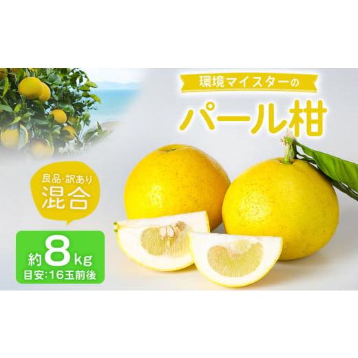 ふるさと納税 みかん・柑橘類 熊本県 水俣市 環境マイスターのパール柑 良品・訳あり混合 8kg (栽培期間中は無肥料・農薬不使用) 果物 くだもの フルーツ パ…