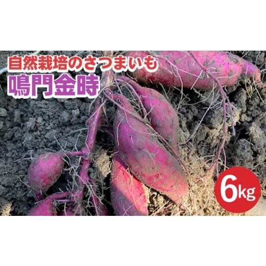 ふるさと納税 野菜類 サツマイモ 京都府 亀岡市 期間限定 自然栽培のさつまいも 6kg 鳴門金時 京都 亀岡産 かたもとオーガニックファームよりお届け[サツマ…