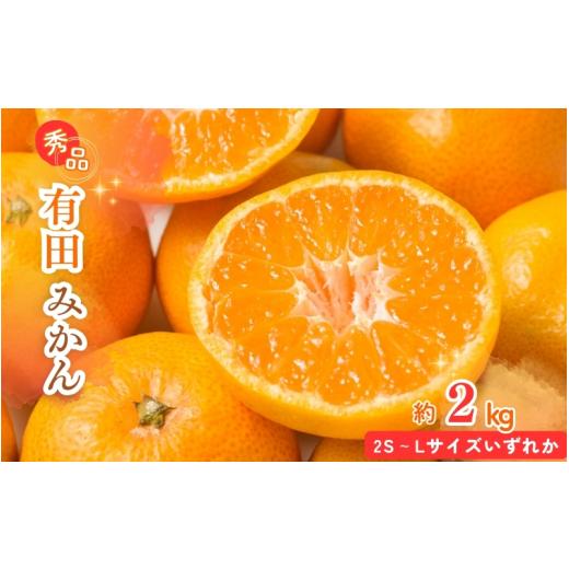 ふるさと納税 果物類 みかん 和歌山県 串本町 先行予約 秀品 有田みかん 2kg 2S〜Lサイズのいずれか 2026年11月下旬〜2027年1月下旬頃に順次発送予定 / みか…