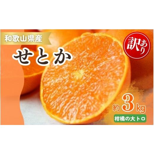 ふるさと納税 みかん・柑橘類 和歌山県 新宮市 ご家庭用訳あり ジューシー柑橘 せとか 約3kg 先行予約 2027年2月中旬頃〜2027年3月中旬頃発送予定(お届け日…