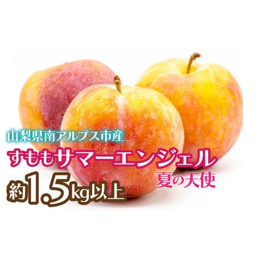 ふるさと納税 果物類 山梨県 南アルプス市 2025年発送先行予約 ふるさと納税 果物類 山梨県 南アルプス市 2025年発送先行予約