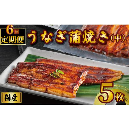 ふるさと納税 うなぎ 千葉県 銚子市 国産うなぎ蒲焼き タレ・山椒付き 5枚 1枚約100g 定期便6回 うなぎ 鰻 蒲焼 定期便 うな重 鰻丼 うな丼 ひつまぶし 土用の…_1