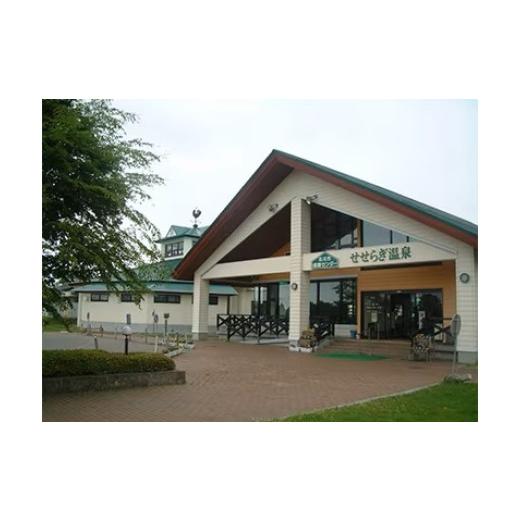 ふるさと納税 温泉・サウナ・スパ利用券 北海道 北斗市 北斗市健康センター せせらぎ温泉入浴回数券(11枚綴) ふるさと納税 人気 おすすめ ランキング 温泉 源…