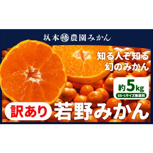ふるさと納税 果物類 みかん 和歌山県 日高川町 訳あり みかん 若野みかん 約5kg サイズ無選別 圦本悟農園[12月上旬-2月中旬頃出荷]和歌山県 日高川町 旬 新…