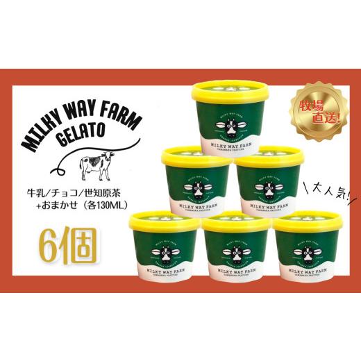 ふるさと納税 アイス・ヨーグルト ジェラート 長崎県 佐世保市 F181 《定期便》山中牧場「MILKY WAY FARM」ジェラート(６個) ３回お届けの画像