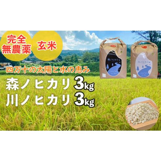 ふるさと納税 米 ヒノヒカリ 高知県 四万十町 2025年産米 完全無農薬の玄米『森ノヒカリ(3kg)』『川ノヒカリ(3kg)』セット /お米 朝日 米 数量限…