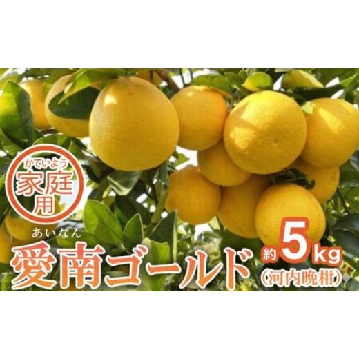 ふるさと納税 みかん・柑橘類 愛媛県 愛南町 家庭用 愛南ゴールド(河内晩柑)約5kg みかん 蜜柑 河内晩柑 グレープフルーツ 柑橘 果物 フルーツ 前田ファーム…