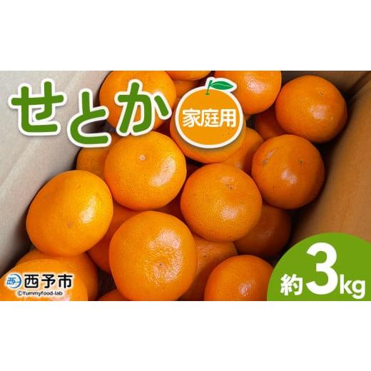 ふるさと納税 みかん・柑橘類 愛媛県 西予市 せとか 家庭用 約3kg 訳あり わけあり 自宅用 果物 フルーツ みかん ミカン 蜜柑 オレンジ 柑橘 セトカ ジューシ…