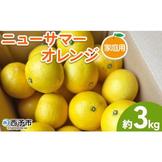 ふるさと納税 みかん・柑橘類 愛媛県 西予市 ニューサマーオレンジ 家庭用 約3kg 訳あり わけあり 自宅用 果物 フルーツ みかん ミカン 蜜柑 オレンジ 柑橘 …