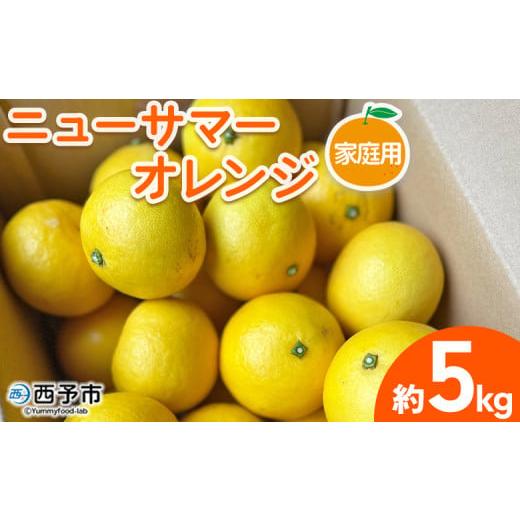 ふるさと納税 果物類 みかん 愛媛県 西予市 ニューサマーオレンジ 家庭用 約5kg 訳あり わけあり 自宅用 果物 フルーツ みかん ミカン 蜜柑 オレンジ 柑橘 に…
