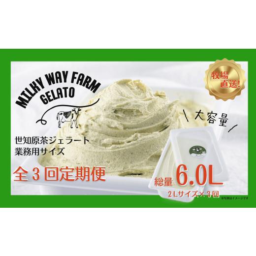 ふるさと納税 アイス・ヨーグルト ジェラート 長崎県 佐世保市 F187 《定期便》山中牧場「MILKY WAY FARM」ジェラート 業務用(２L)サイズ〈世知原茶〉 ３回お…の画像