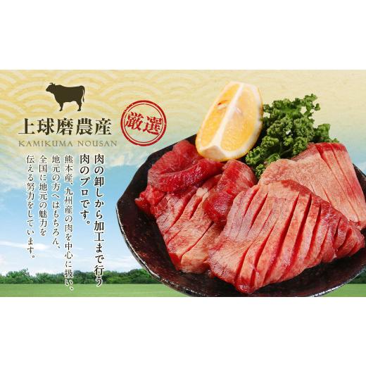 ふるさと納税 牛肉 タン 熊本県 湯前町  訳あり 薄切り 牛タン スライス 約4kg 約500g×8パック 牛たん 牛舌 牛 牛肉 お肉 肉 バーベキュー 焼肉 訳アリ |  | 05