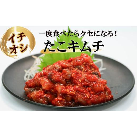 ふるさと納税 セット・詰合せ 大阪府 松原市 甘口 白菜 キムチ 1kg 大根 キムチ 500g 計1.5kg カクテキ ピリ辛 手作り ごはんのお供 お米 ごはん ビール 酒の …の画像