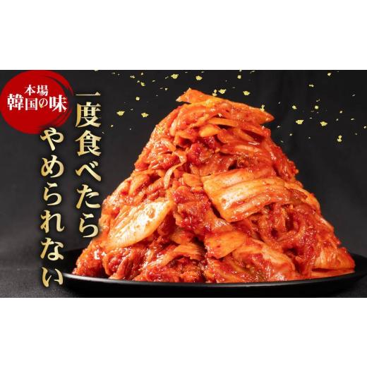 ふるさと納税 セット・詰合せ 大阪府 松原市 甘口 白菜 キムチ 1kg するめ キムチ 160g 計1.16kg いか ピリ辛 手作り ごはんのお供 お米 ごはん ビール 酒の …の画像