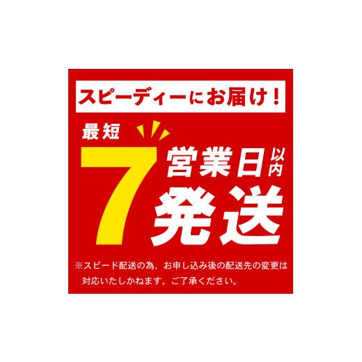 ふるさと納税 セット・詰合せ 大阪府 松原市 甘口 白菜 キムチ 1kg ねぎ キムチ 250g 計1.25kg ピリ辛 手作り ごはんのお供 お米 ごはん ビール 酒の おつまみ…の画像