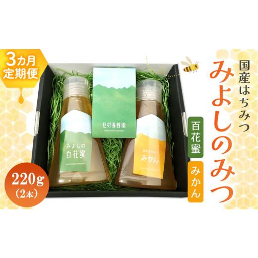 ふるさと納税 加工品等 はちみつ 佐賀県 基山町 3か月定期便 みよしのみつ(百花蜜・みかん)220g×2本 はちみつ 百花蜜 みかん 国産 ミツバチ 甘み スッキリ …_1