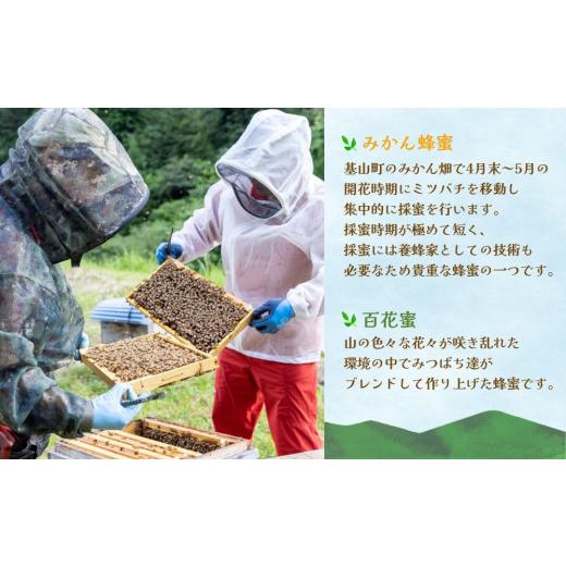ふるさと納税 加工品等 はちみつ 佐賀県 基山町 3か月定期便 みよしのみつ(百花蜜・みかん)220g×2本 はちみつ 百花蜜 みかん 国産 ミツバチ 甘み スッキリ …_3