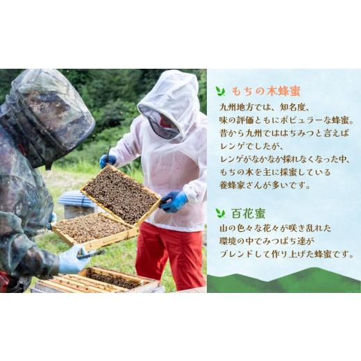ふるさと納税 加工品等 はちみつ 佐賀県 基山町 3か月定期便 みよしのみつ(百花蜜・もちの木)220g×2本 はちみつ 百花蜜 もちの木 国産 ミツバチ 甘み スッキ…_3