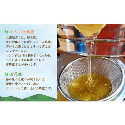 ふるさと納税 加工品等 はちみつ 佐賀県 基山町  2か月定期便 みよしのみつ(百花蜜・みかん・もちの木)220g×3本 はちみつ 百花蜜 みかん もちの木 国産 ミツ…の画像