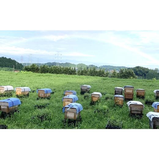 ふるさと納税 加工品等 はちみつ 佐賀県 基山町  2か月定期便 みよしのみつ(百花蜜・みかん・もちの木)220g×3本 はちみつ 百花蜜 みかん もちの木 国産 ミツ…の画像