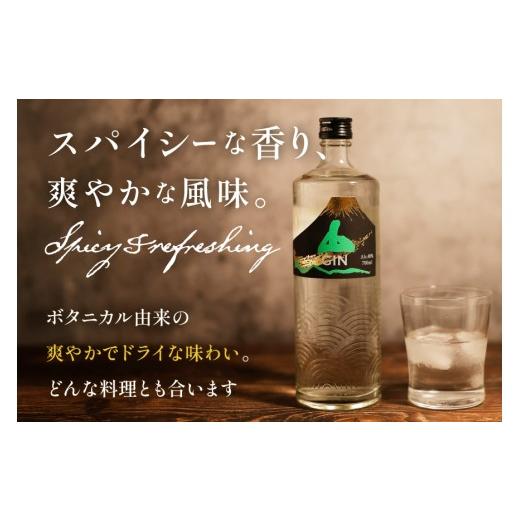 ふるさと納税 ウイスキー 山梨県 韮崎市 ジン 山ジン 700ml 1本 酒 お