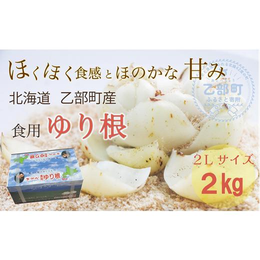 ふるさと納税 野菜類 北海道 乙部町 乙部町特産 ゆり根 しっとり上品な味わいの栄養満点な冬の味覚