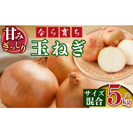 ふるさと納税 野菜類 玉ねぎ 奈良県 五條市 なら育ち 益田農園 玉ねぎ約 5kg サイズ混合|ヤサイ 野菜 やさい 玉葱 玉ねぎ たまねぎ 奈良県 五條市 5キロ
