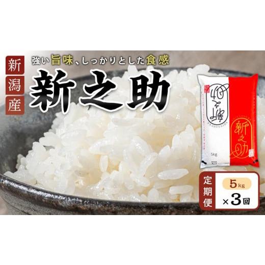 ふるさと納税 米 新潟県 - 定期便 新之助5kg×3ヶ月連続お届け 米 お米 新潟 新潟県