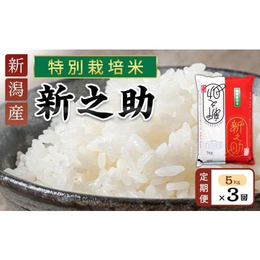 ふるさと納税 米 新潟県 - 定期便 新之助(特別栽培米)5kg×3ヶ月連続お届け | 米 お米 新潟 新潟県